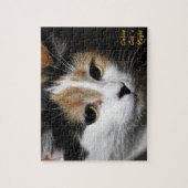 Calico Cat's Night Puzzle (Vertikal)