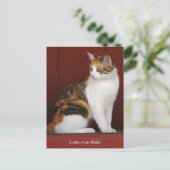Calico Cats Rule! Post Card Postkarte (Stehend Vorderseite)