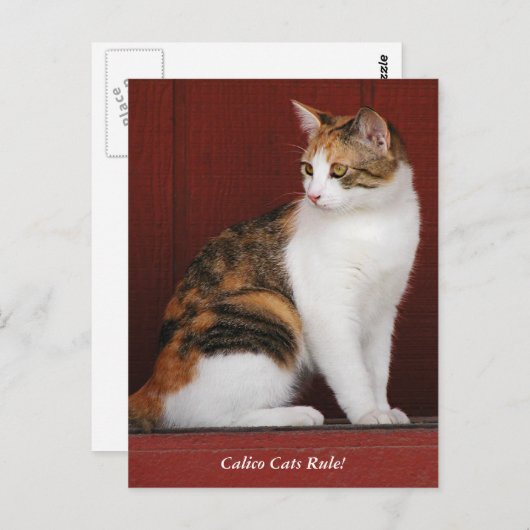 Calico Cats Rule! Post Card Postkarte (Vorne/Hinten)