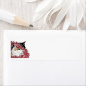 Calico Christmas kitty (Insitu)
