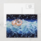 Calico Cockleshell Postkarte (Vorne/Hinten)