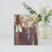 Calico Corn Postkarte (Stehend Vorderseite)