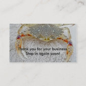 Calico Crab Business Card Visitenkarte (Rückseite)