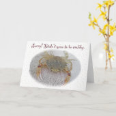 Calico Crab Sorry Card Karte (Gelbe Blume)