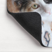 Calico Cricket Kitty Mousepad (Ecke)