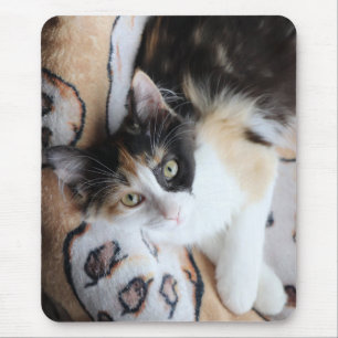 Calico Cricket Kitty Mousepad