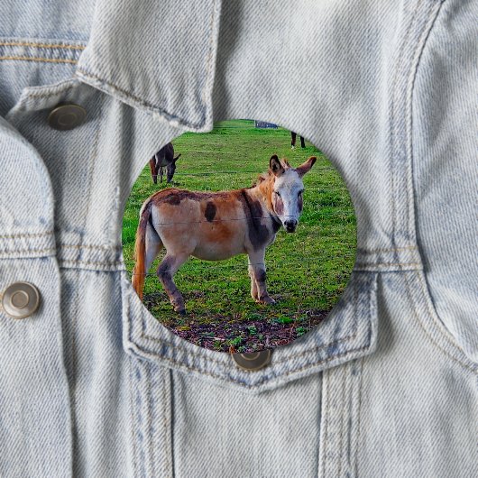 Calico Donkey Button (Beispiel)