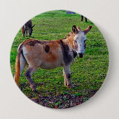 Calico Donkey Button (Vorderseite)