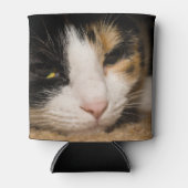 Calico Face Dosenkühler (Vorderseite)