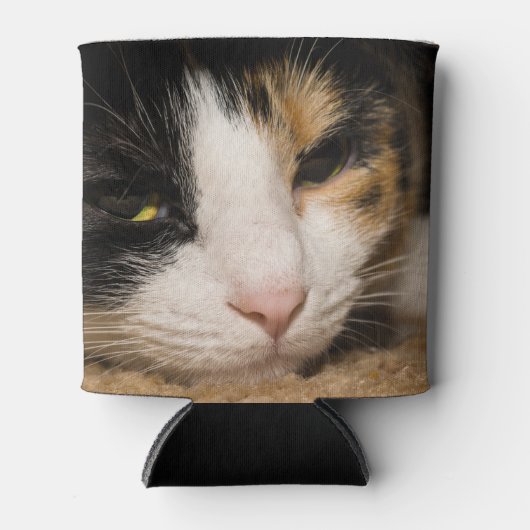 Calico Face Dosenkühler (Vorderseite)