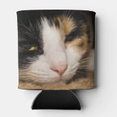 Calico Face Dosenkühler (Rückseite)