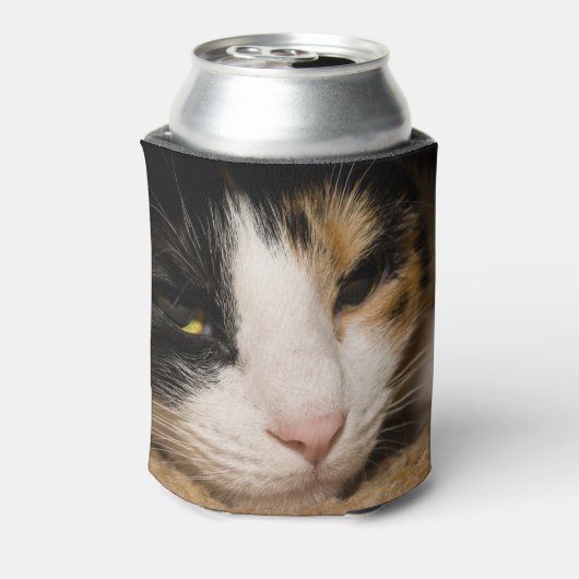 Calico Face Dosenkühler (Kanne Rückseite)