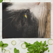 Calico Face Geschirrtuch (Gefaltet)