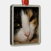 Calico Face Ornament Aus Metall (Rechts)