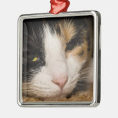 Calico Face Ornament Aus Metall (Links)