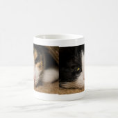 Calico Face Tasse (Mittel)