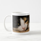 Calico Face Tasse (Links)