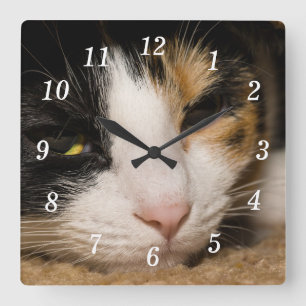 Calico Face Wall Clock Quadratische Wanduhr