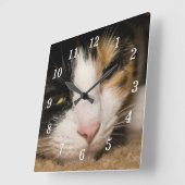 Calico Face Wall Clock Quadratische Wanduhr (Winkel)