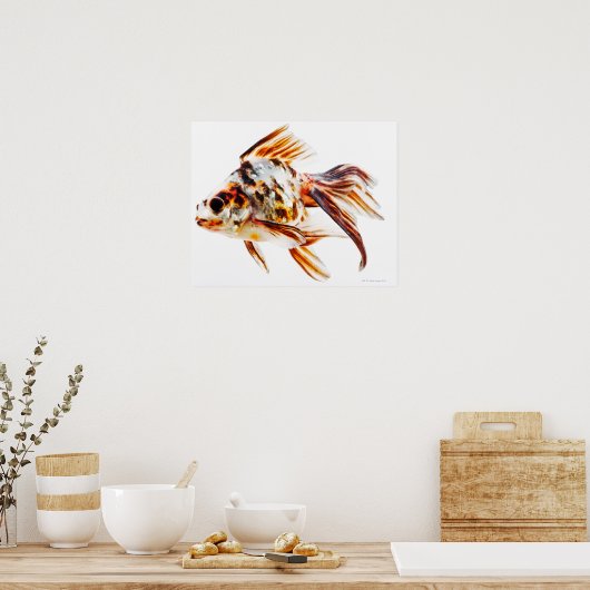 Calico Fantail Comet Goldfish Poster (Küche)