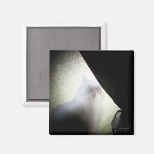 Calico Ghost Cat von djoneill Magnet (Vorderseite/Rückseite)