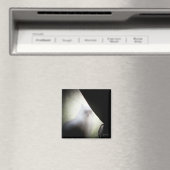 Calico Ghost Cat von djoneill Magnet (In Situ (Geschirrspüler))