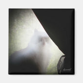 Calico Ghost Cat von djoneill Magnet (Vorne)