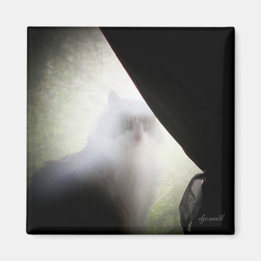 Calico Ghost Cat von djoneill Magnet (Vorne)