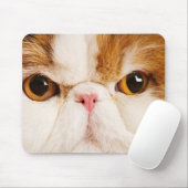 Calico Harlequin Persian Mousepad (Mit Mouse)