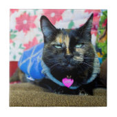 Calico I Fliese (Vorderseite)