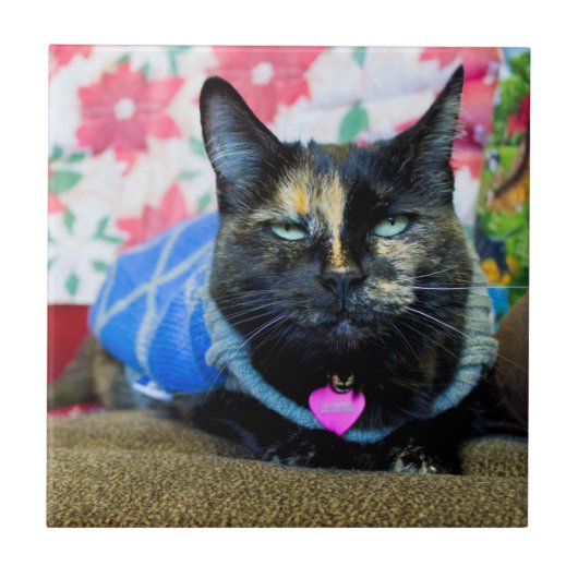 Calico I Fliese (Vorderseite)