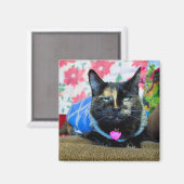 Calico I Magnet (Vorderseite/Rückseite)