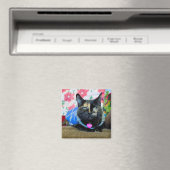 Calico I Magnet (In Situ (Geschirrspüler))