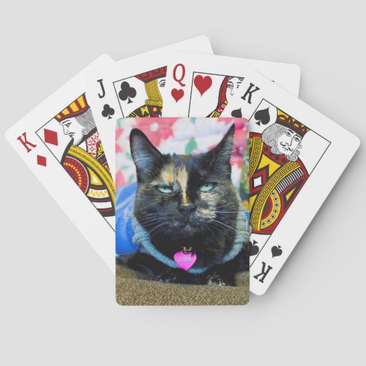 Calico I Spielkarten (Rückseite)