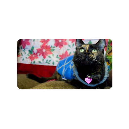 Calico II Adressaufkleber (Vorne)