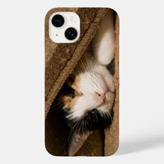 Calico im Fall Rug iPhone Case-Mate iPhone Hülle (Rückseite)