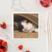 Calico im Rug Serviette (Beispiel)