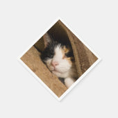Calico im Rug Serviette (Ecke)