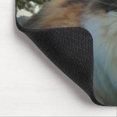 Calico in Blooming Apple Tree Mousepad (Ecke)