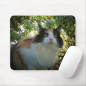 Calico in Blooming Apple Tree Mousepad (Mit Mouse)