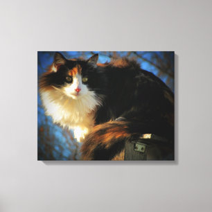 Calico Kat im Wind Leinwanddruck