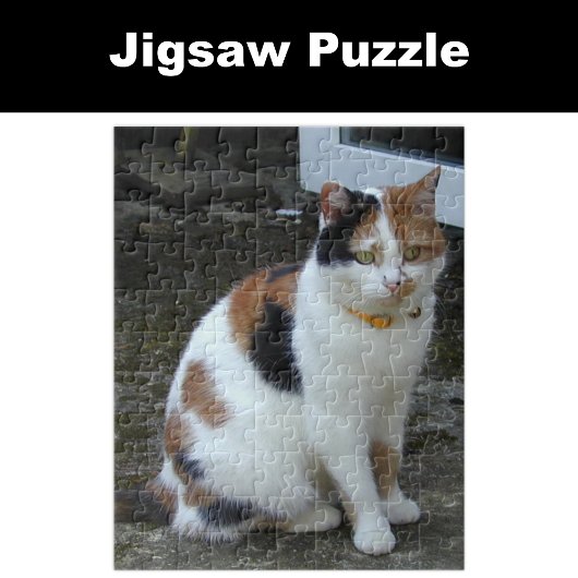 Calico Katze im Freien Puzzle