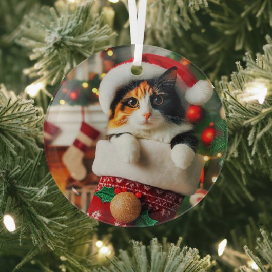 Calico Katze im Strumpf Glasdekoration Ornament Aus Glas (InSitu)