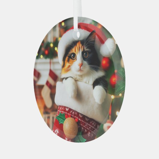 Calico Katze im Strumpf Glasdekoration Ornament Aus Glas (Vorderseite links)