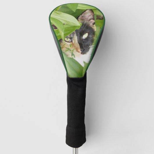 Calico Katze im Zinnias Golf Headcover (Vorderseite)
