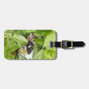 Calico Katze in den Zinnien Gepäckanhänger