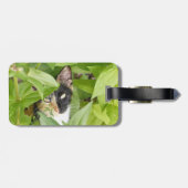 Calico Katze in den Zinnien Gepäckanhänger (Rückseite horizontal)