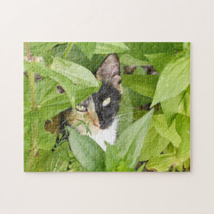 Calico Katze in den Zinnien Puzzle