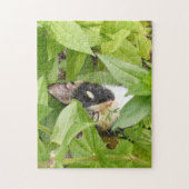 Calico Katze in den Zinnien Puzzle (Vertikal)