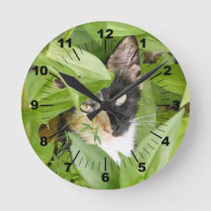 Calico Katze in den Zinnien Runde Wanduhr